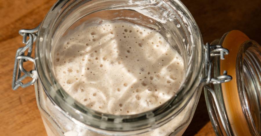Fermento Natural Levain